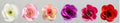 Artificial Flower Decoration Plastic Ornaments