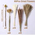 Versatile Dried Floral Mix - Reeds & Pampas Grass