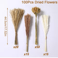 Natural Dried Reeds and Pampas Grass