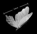 Light Up Butterflys