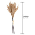 Fluffy Pampas Grass Bouquet