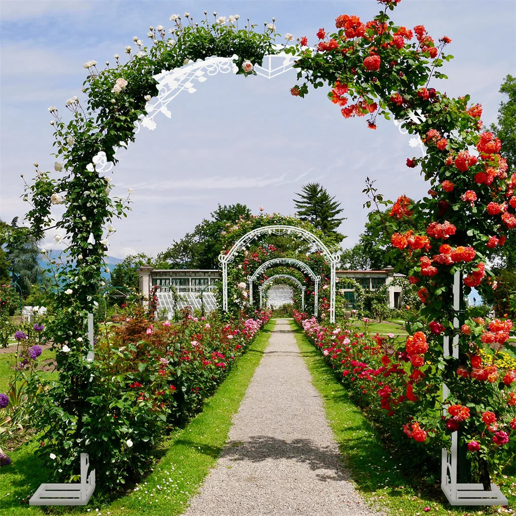 Elegant Event Archway Stand